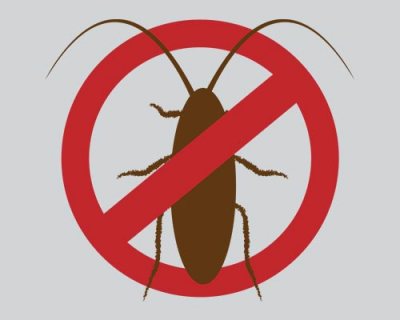 مكافحة الحشرات والصراصير