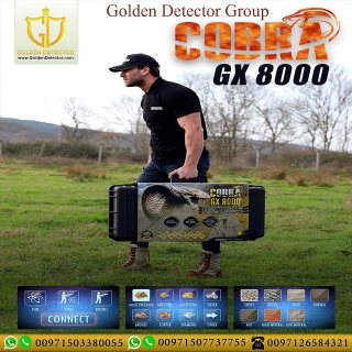 Cobra GX 8000  Best German Metal Detector 2020 3