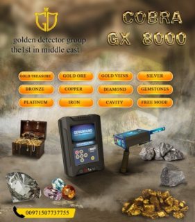 Cobra GX 8000 | Powerful Multi-Systems Metal Detector 4