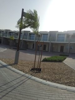 فيلا دورين مع حديقة  جاهزة للبيع في دبي ب 750 ألف درهم كاش  2