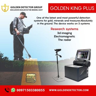 Golden King plus metal Detector 1