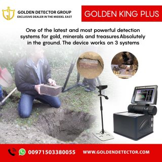 Golden King plus metal Detector 2