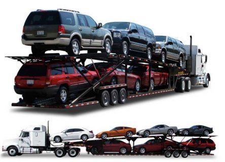 Services from TRELA Dubai to Bahrain 00971555560168 1