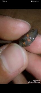 اوبال اسود نادر black opale احجار كريمة
