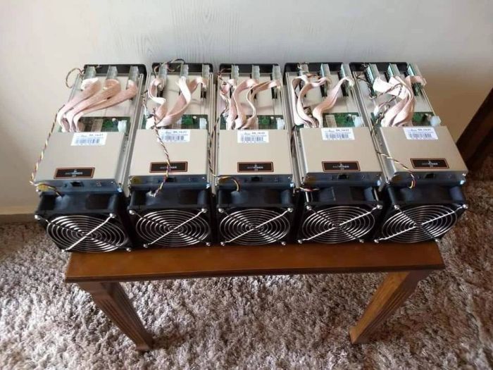 GOLD SHELL ASIC MINERS 3