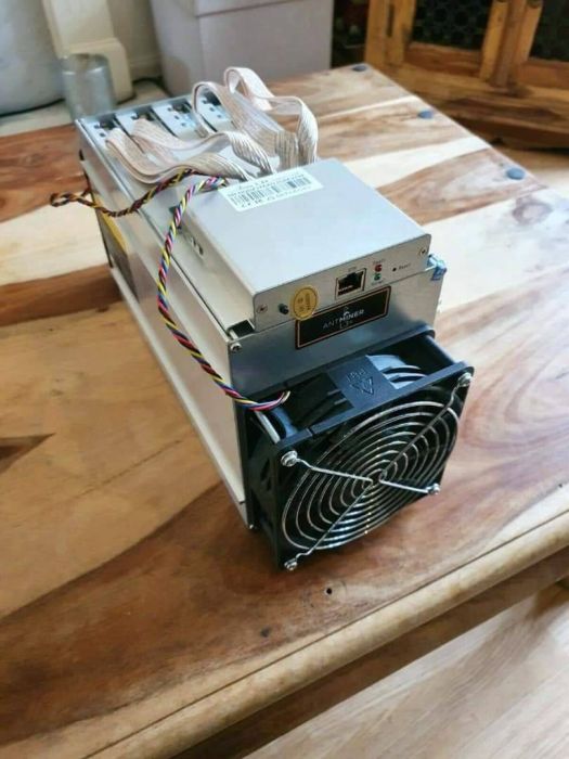 GOLD SHELL ASIC MINERS 5