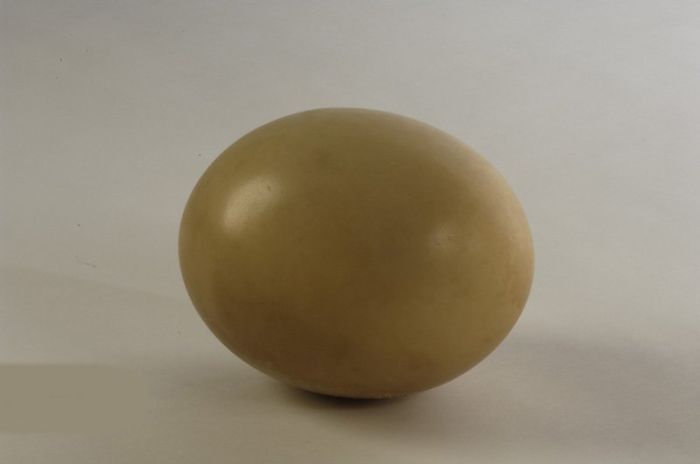 Ostrich egg, Empty Quarter, dated to 7000 B.C