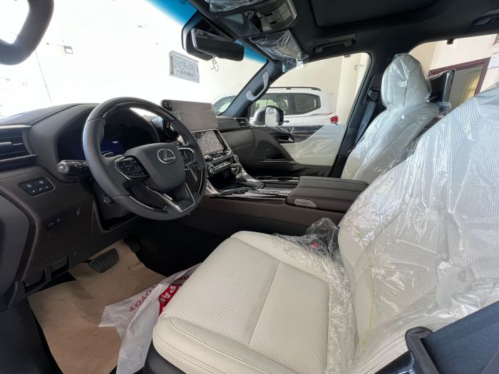 Lexus Signature 600 titanum/white 3