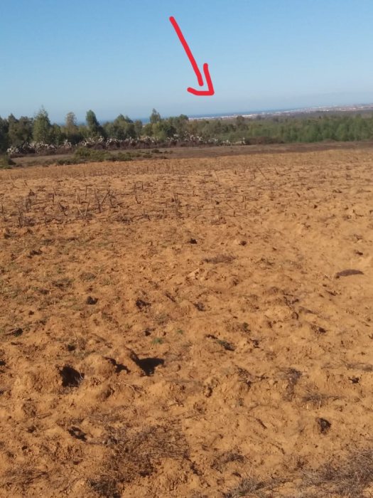 أرض زراعية محفظة في المغرب للبيع 2