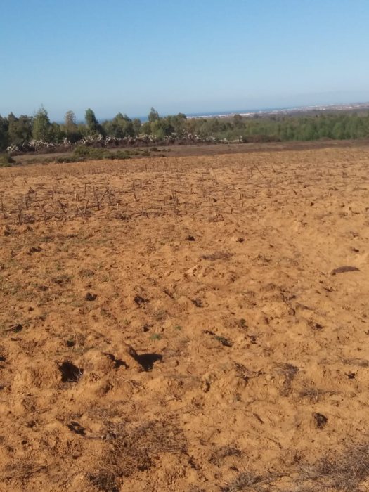 أرض زراعية محفظة في المغرب للبيع 5
