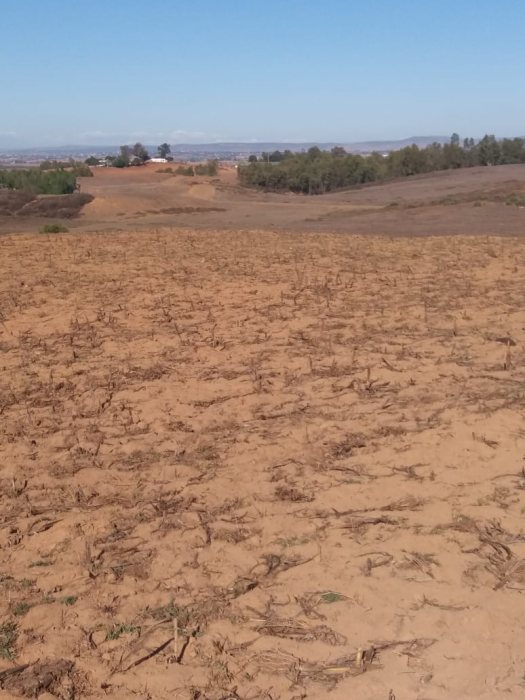أرض زراعية محفظة في المغرب للبيع 7