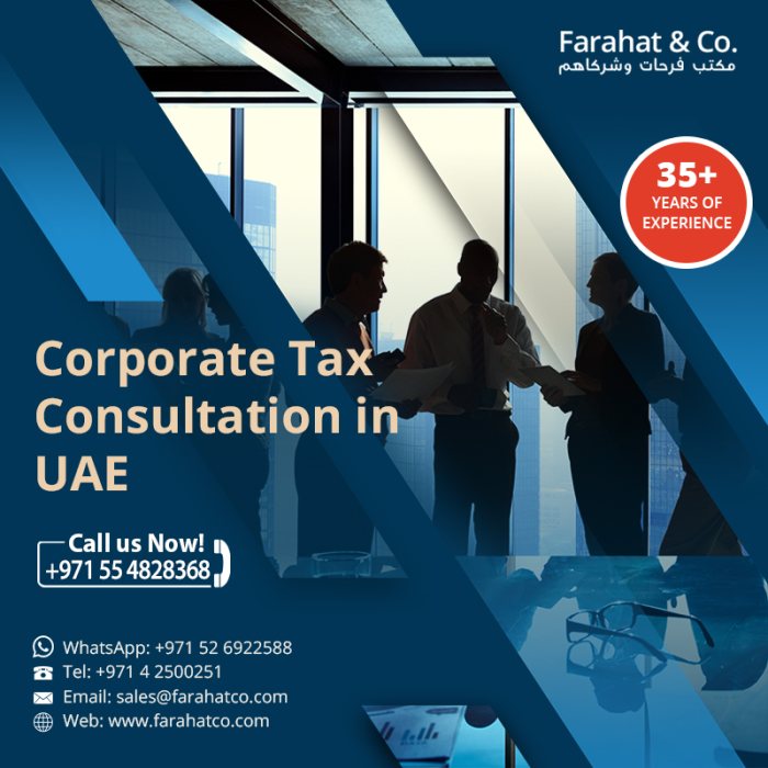  هل تحتاج لوكيل ضريبي مختص في ضريبة الشركات في دولة الامارات العربية المتحدة؟ 1