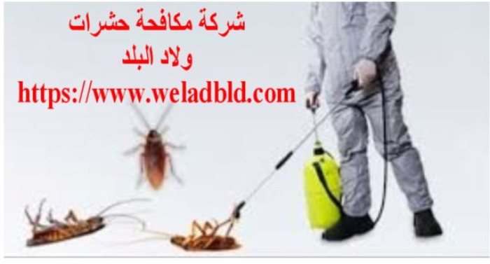 احدث واقوي شركة مكافحة حشرات في الشارقة0508084006