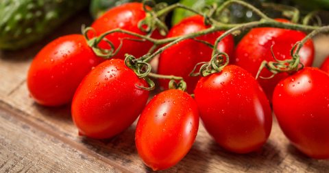 Red  Tomatoes 