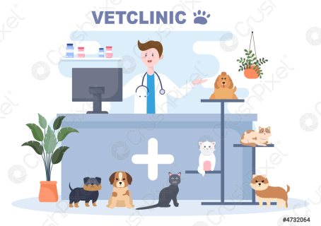 مطلوب شريك او ممول لعيادة بيطرية  Neep partner for big vet clinic in Dubai