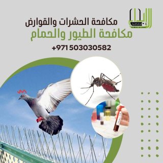 alibdaa pest control الابداع لمكافحة الحشرات 1