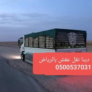 دينا توصيل اثاث وبضائع 0500537031 داخل الرياض  1