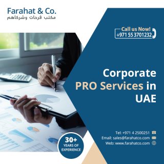 خدمات تأسيس الشركات في دولة الإمارات العربية المتحدة 1