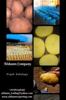 fresh potatoes 2