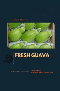 fresh guava 1