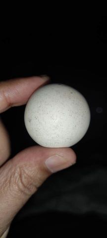 مجوهرات لونسداليت سداسية الشكل من الماس 2