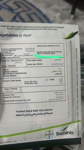 بذور طماطم هجين brivio hybrid tomato  3