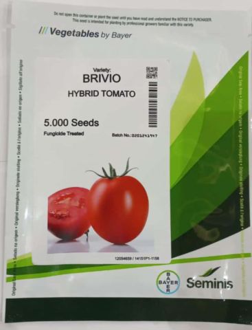 بذور طماطم هجين brivio hybrid tomato  7