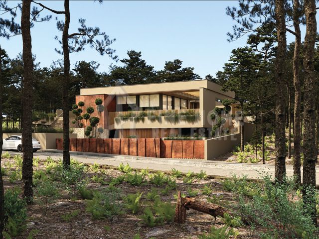 امتلك فيلا 9غرف| موقع مميز | تصميم عصري | حديقة | جاكوزي 2