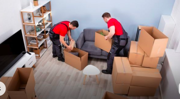 Packaging services | Cargo service and clearance