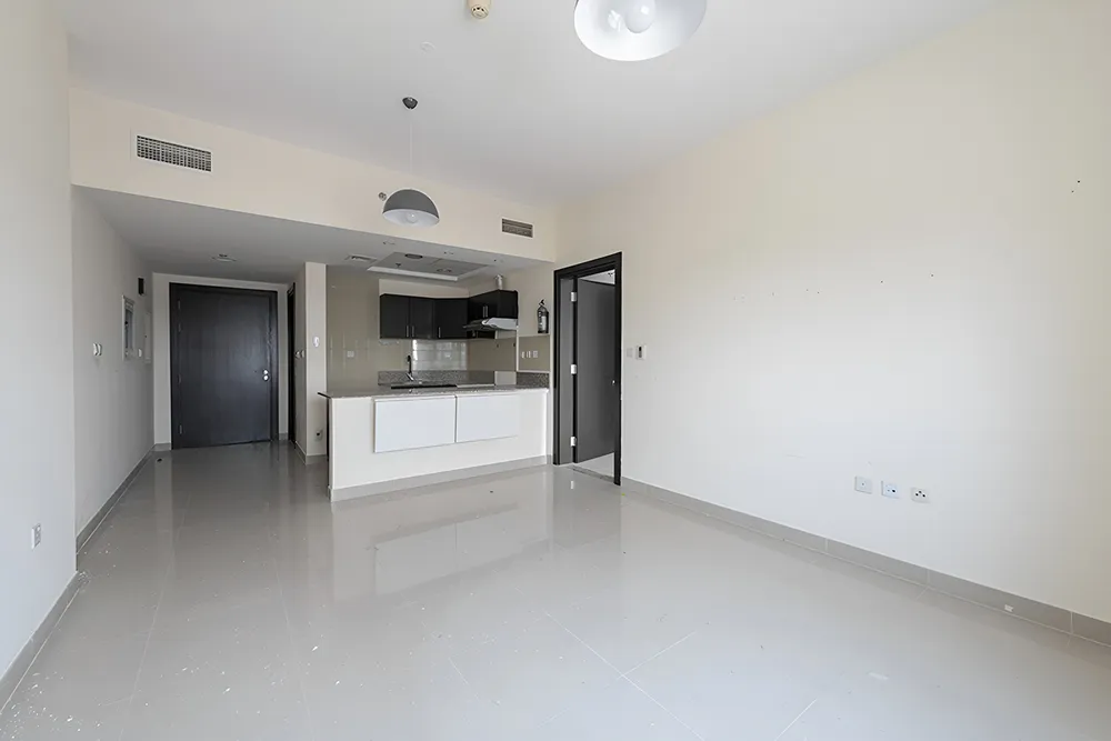 1 Bedroom Apartment in Red Residency