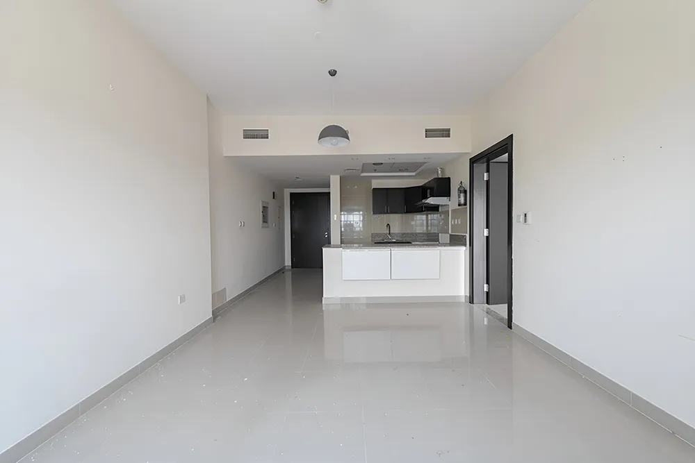 1 Bedroom Apartment in Red Residency