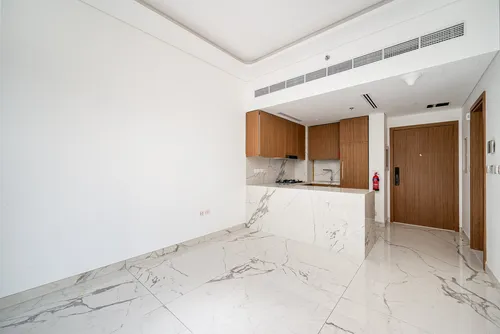 1 Bedroom Apartment in Azizi Riviera 65 3