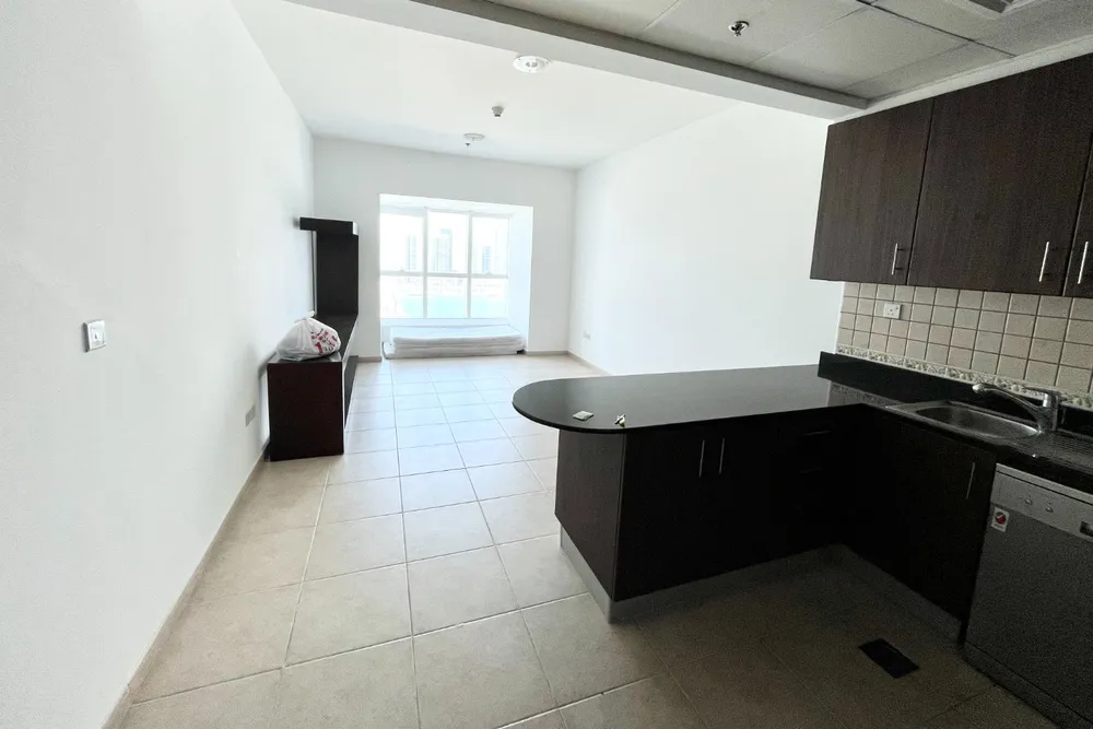 1 Bedroom Apartment in Elite Residence