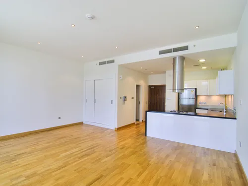 Apartment in Al Barza 3