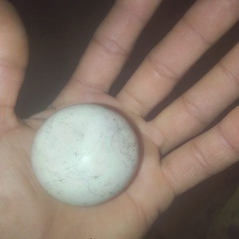 دفائن جديدة 2025 9