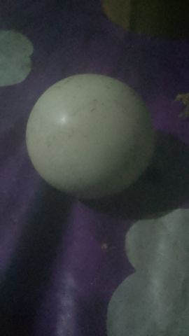 دفائن جديدة 2025 10