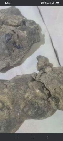 عنبر الحوت  3