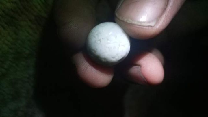 جوهرة ثعبان لاالبيع في اليمن  5
