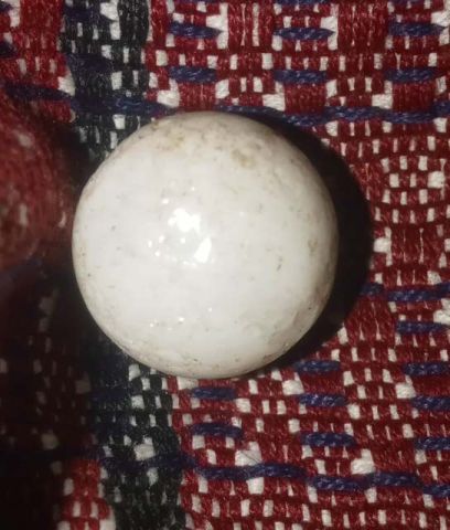 جوهرة ثعبان لاالبيع في اليمن  6