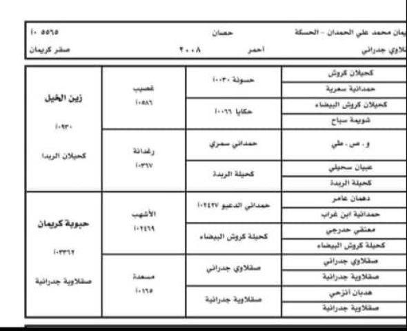 الامارات 7