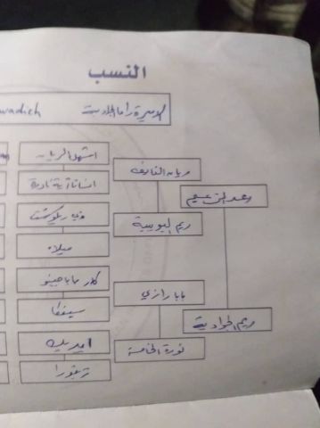 الامارات 9