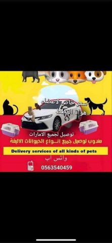 Pet taxi abu Dhabi 