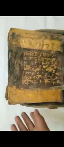 سوق العرب 4
