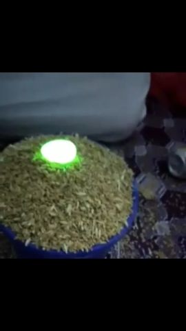 جوهرة الثعبان خضراء اصلية ومضمونة للبيع  2