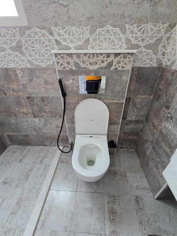الياسمين عجمان   8