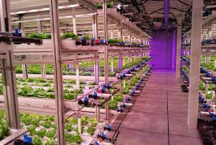 Indoor Farming & CEA – الزراعة الداخلية والبيئة المضبوطة