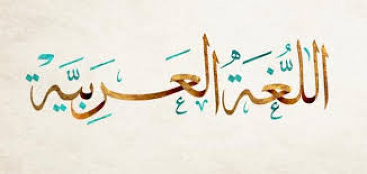 مدرس لغة عربية خبرة طويلة داخل الدولة 