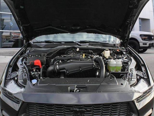 2025 Ford mustang Eco boost premium for sale  5