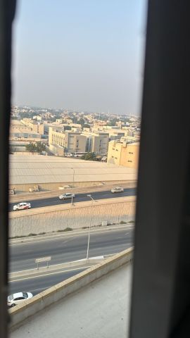 عجمان الراشديه 8