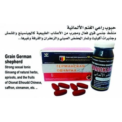 راعي الغنم الألماني 